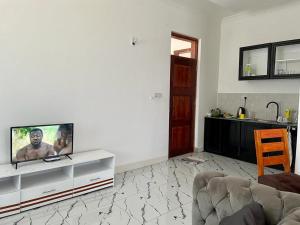 a living room with a tv and a couch at Moderní Apartmány Raka in Nungwi