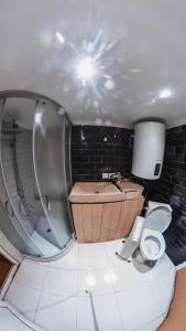 a bathroom with a tub and a toilet and a sink at Cucu Zen Dome Cabana Cazare Bucovina 