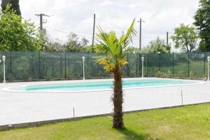 a palm tree in front of a tennis court at CasaLina Appartamento in Santa Croce sullʼ Arno
