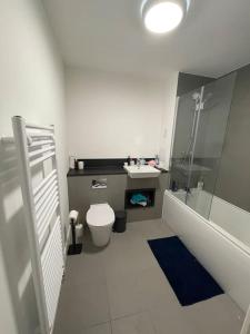 y baño con lavabo, aseo y ducha. en Charming room in the Heart of London, en Londres
