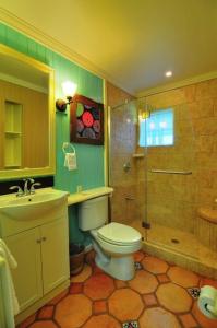 y baño con aseo, lavabo y ducha. en Villa Allamanda, Eleuthera, en Governorʼs Harbour