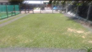a yard with green grass and a fence at Casa da Felicidade in Tramandaí