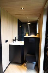 a bathroom with a sink and a toilet and a mirror at Luxe Tiny House op minicamping in Waarde in Waarde