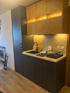 Кухня или мини-кухня в Grand resort luxury apartment
 +36 фотографий