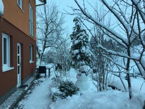 Weinrebe Oberhermsdorf nahe Dresden v zimě + 1 fotografie