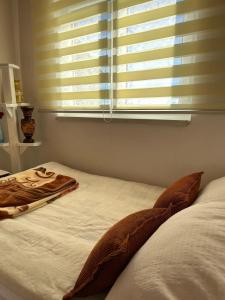 a bed with a pillow and a window with blinds at Kuca za odmor Marija in Kupres