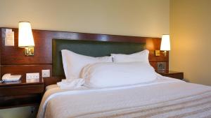 Postel nebo postele na pokoji v ubytování Hotel Sao Jose
