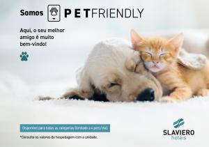 a dog and a cat are laying next to each other at Slaviero Hotel Baia Norte Florianópolis in Florianópolis