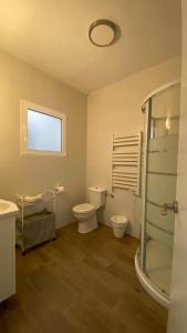 a bathroom with a toilet and a glass shower at Alojamiento en el centro de Toledo in Toledo