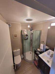 Ванная комната в Hermoso Entorno y Vista Espectacular en Pucon