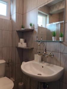 a bathroom with a sink and a toilet and a mirror at The Master and Margarita Apartment, Майстора и Маргарита, two bedroom apartament in Burgas