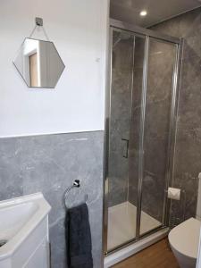 a bathroom with a shower and a toilet and a sink at Braeside Innerleithen Apartment in Innerleithen