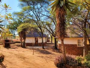 Lagai Roi Guesthouse في Boshoek: منزل في وسط غابة من الأشجار