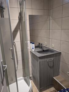 La salle de bains est pourvue d'un lavabo et d'une douche. dans l'établissement À 7 minutes de l'aéroport CDG 1, à Thieux