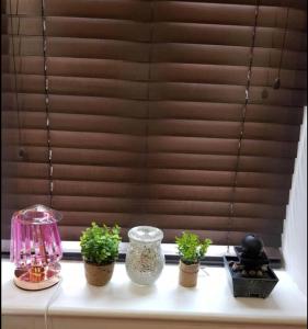 une table avec des plantes en pot sur un rebord de fenêtre dans l'établissement Affordable Flats - Derby City Centre, à Derby