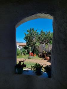 Blick auf einen Hof aus einem Fenster mit Topfpflanzen in der Unterkunft La Casa de Vero in Cachí