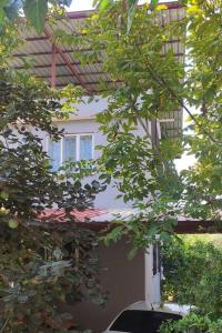 Zahrada ubytování Engin HOME
