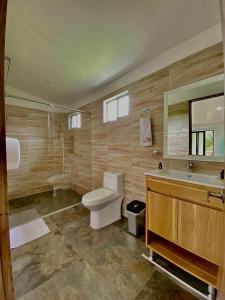 a bathroom with a toilet and a sink and a mirror at Hotel Boutique Duranta in Villavicencio