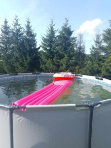 a swimming pool with a pink inflatablevisor in the water at Domek nad Stawem Siemuszowa in Tyrawa Wołoska