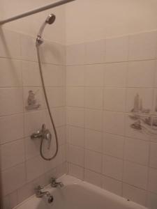 a shower in a bathroom with a bath tub at Rochester Corner in Rochester
