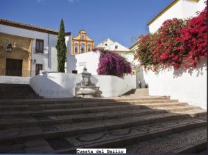 een trap voor een gebouw met een fontein bij Apartamento Azonaicas in Córdoba