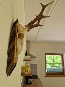 Fotografie z fotogalerie ubytování Appartement Woidrauschen v destinaci Ruhpolding + 10 fotografií