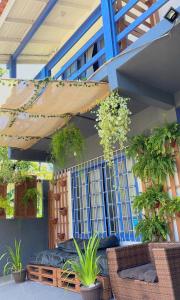 een patio met een bos potplanten bij Off hostel floripa in Florianópolis