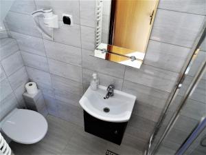 a bathroom with a sink and a toilet and a mirror at "Bieszczady111"-pokoje nad Soliną, tel, 607 - 197 - 316 in Polańczyk
