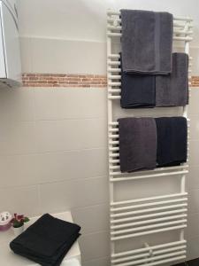 a bathroom with a towel rack with towels at Gemütlicher Altbau in zentraler Lage Wiesbaden in Wiesbaden