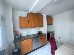 eine kleine Küche mit Holzschränken und einem Waschbecken in der Unterkunft Mainz Apartment near cetral station in Mainz