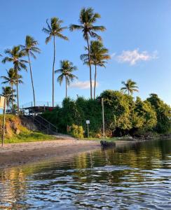 einen Strand mit Palmen und Wasser in der Unterkunft Casa Mar Azul in Pitimbu