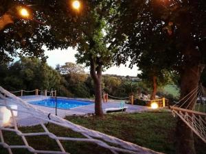 a hammock in front of a swimming pool with a tree at House in Villa Torto in Monopoli