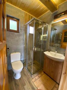 uma casa de banho com um chuveiro, um WC e um lavatório. em Chatka pod Lubaniem em Ochotnica Dolna