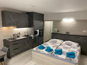 um quarto com uma cama grande e uma cozinha em Apartmány Almberg Mitterdorf em Mitterfirmiansreut