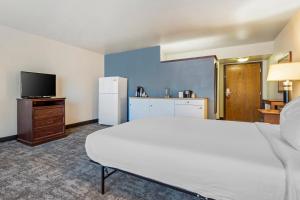 Postel nebo postele na pokoji v ubytování Seaport Inn & Suites