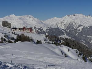 エム・ラ・プラーニュにあるStudio Plagne Aime 2000, 1 pièce, 3 personnes - FR-1-455-19の雪に覆われた山