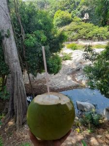 Gallery image of Hostal Y Balneario La Danta in El Zaino