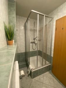 a shower with a glass door in a bathroom at Apartments in der Rostocker Innenstadt in Rostock