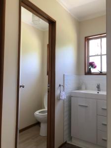 a bathroom with a toilet and a sink and a mirror at Horse Shoe Manor in Paihia