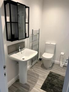een badkamer met een wastafel en een toilet bij New large 2 bedroom apartment with private parking 