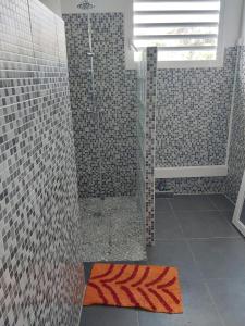 a bathroom with a shower with mosaic tile walls at Maison avec piscine in Saint-François