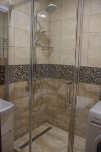 a shower with a glass door in a bathroom at AS apartmán sever in Košice
