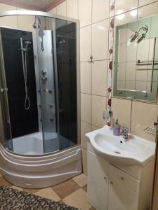 a bathroom with a shower and a sink at Pokoje u Bogusi in Chochołów