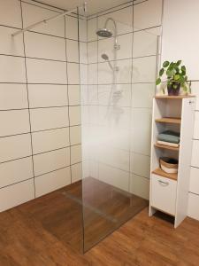 La salle de bains est pourvue d'une douche avec une porte en verre. dans l'établissement Ferienwohnung Zur Alten Gärtnerei, à Hürtgenwald