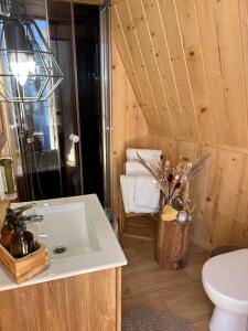 a bathroom with a sink and a toilet at Tatra Glamp Bukowina Tatrzańska - Sieć noclegowa Tatra Glamp in Bukowina Tatrzańska