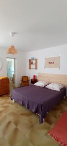 een slaapkamer met een groot bed in een kamer bij UNE CHOUETTE MAISON in Beaucaire