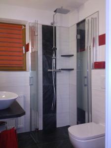 uma casa de banho com um chuveiro, um WC e um lavatório. em BIENE`S Ferientraum em Reit im Winkl