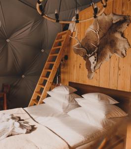 Una escalera y una cama en una habitación en Tatra Glamp Bukowina Tatrzańska - Sieć noclegowa Tatra Glamp, en Bukowina Tatrzańska