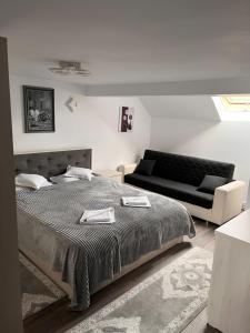 1 dormitorio con 1 cama y 1 sofá en Casa de pe Deal, en Sadova