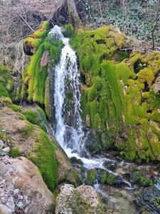 uma cascata ao lado de uma rocha coberta de musgo em Le St Jean Bis em Saint-Jean-de-la-Porte
